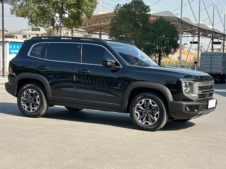 Фото 2 - Haval Dargo