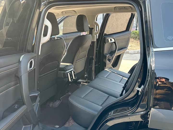 Фото 6 - Haval Dargo