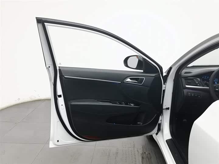 Фото 8 - Hyundai Mistra