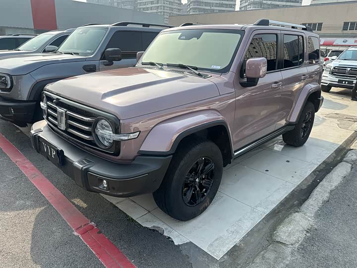 Фото 1 - Tank 300