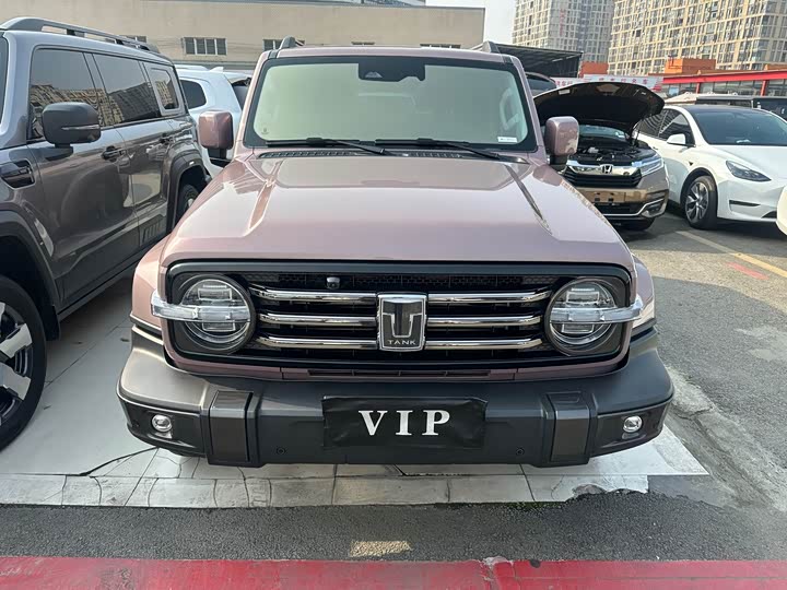 Фото 2 - Tank 300