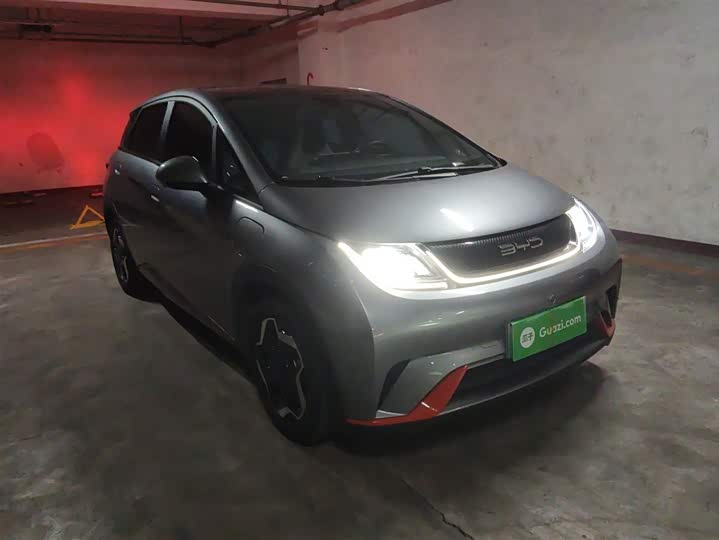 Фото 4 - BYD Dolphin