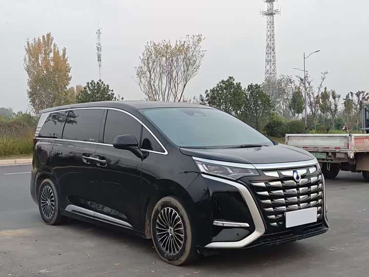 Фото 3 - Denza D9