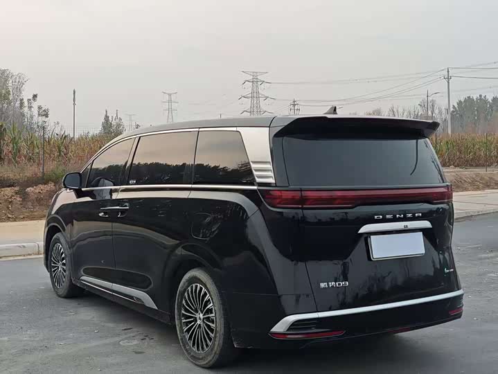 Фото 9 - Denza D9