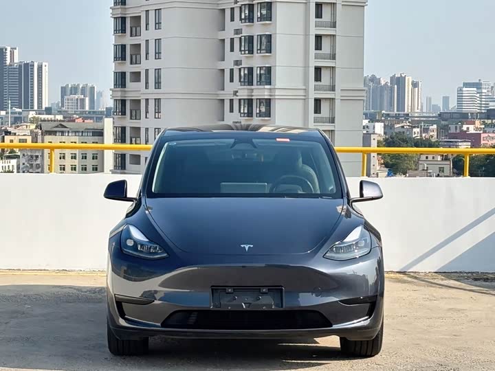 Фото 2 - Tesla Model Y