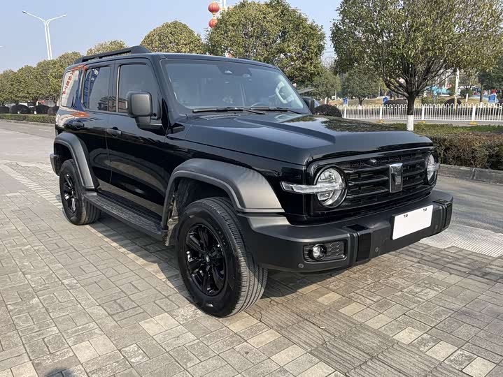 Фото 3 - Tank 300