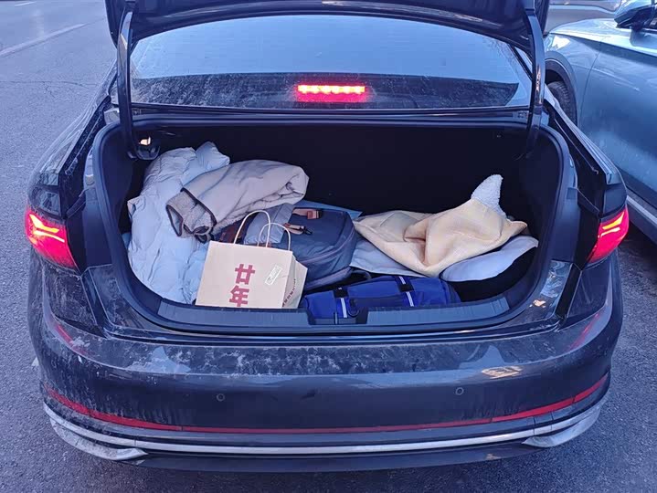 Фото 4 - Volkswagen Sagitar L