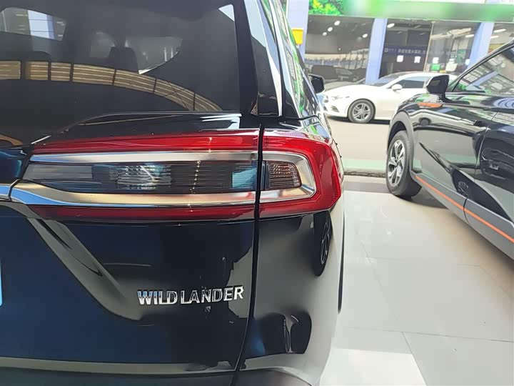 Фото 8 - Toyota Wildlander