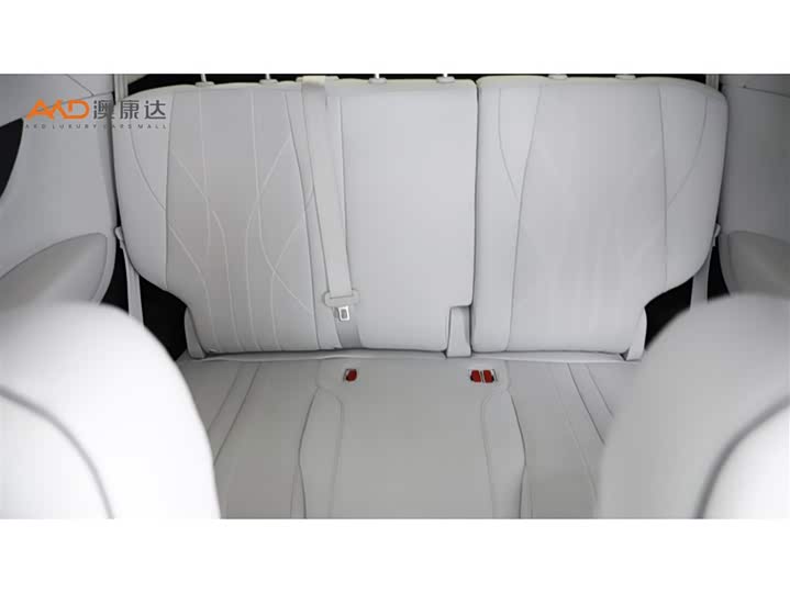 Фото 9 - XPeng X9