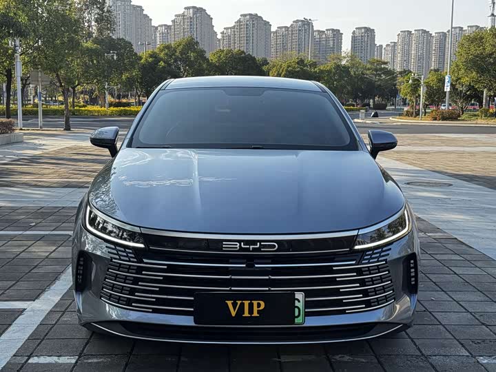 Фото 2 - BYD Destroyer 05