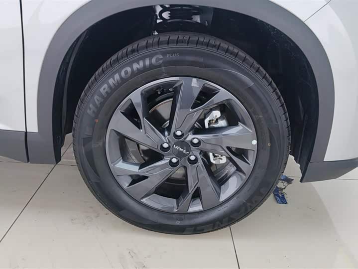 Фото 6 - Dongfeng Aeolus Haohan