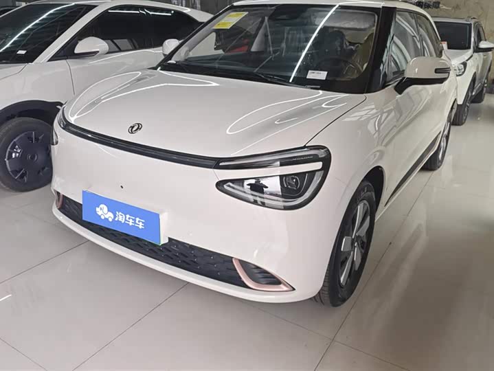 Фото 1 - Dongfeng Nammi 01