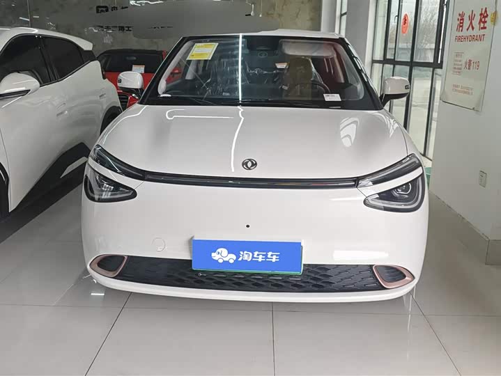 Фото 2 - Dongfeng Nammi 01