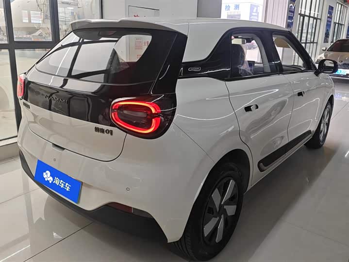 Фото 3 - Dongfeng Nammi 01