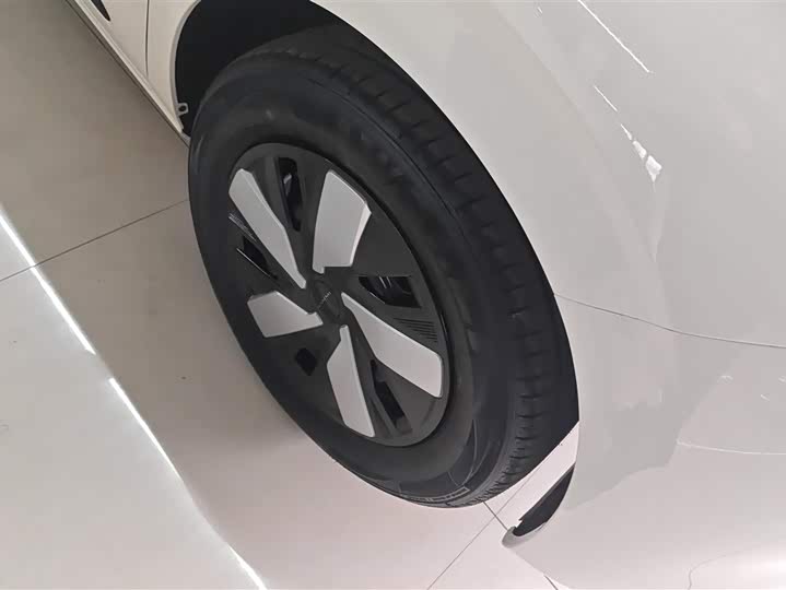 Фото 6 - Dongfeng Nammi 01