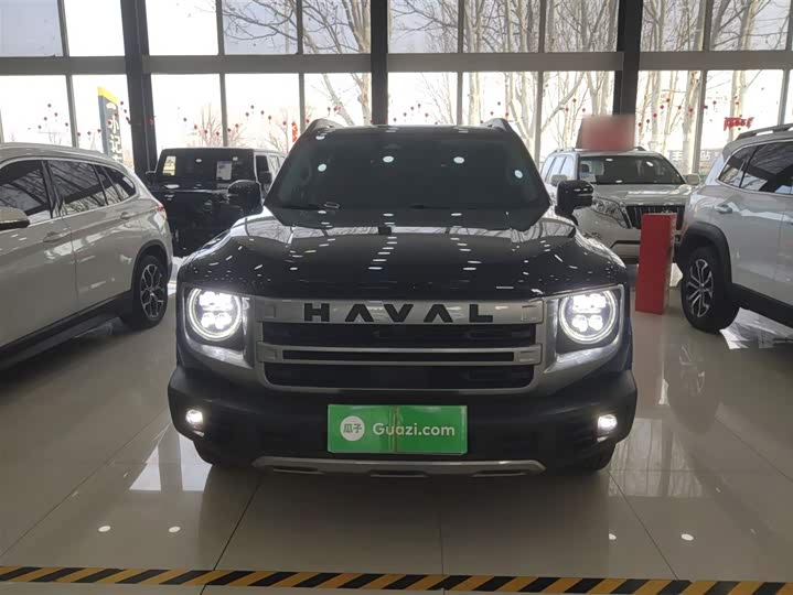 Фото 3 - Haval Dargo