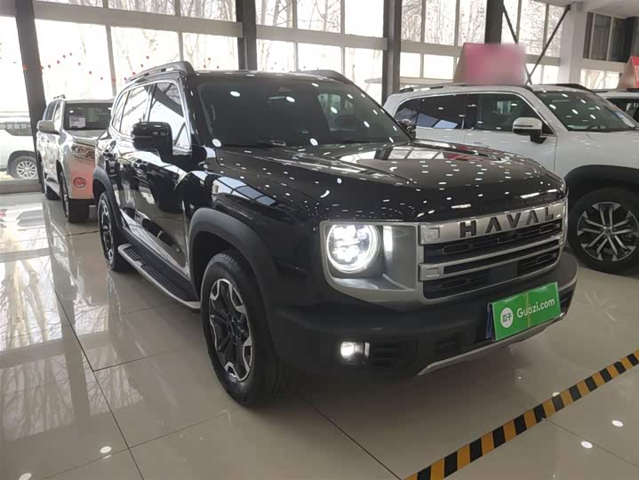 Фото 4 - Haval Dargo