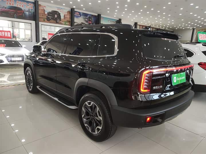 Фото 5 - Haval Dargo