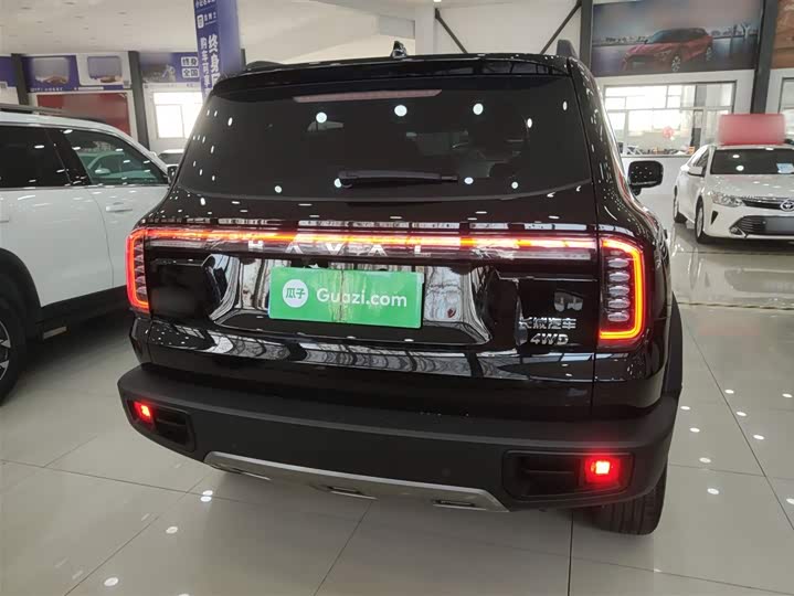 Фото 6 - Haval Dargo