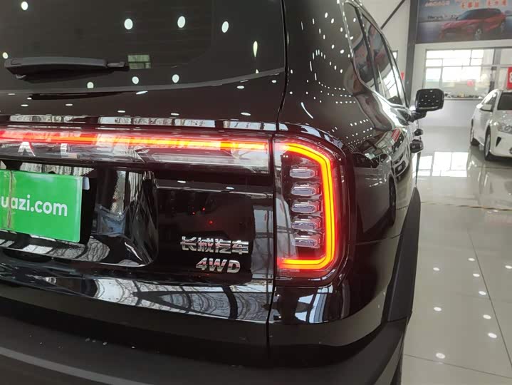 Фото 8 - Haval Dargo