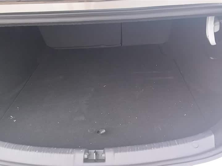 Фото 4 - BYD Qin L