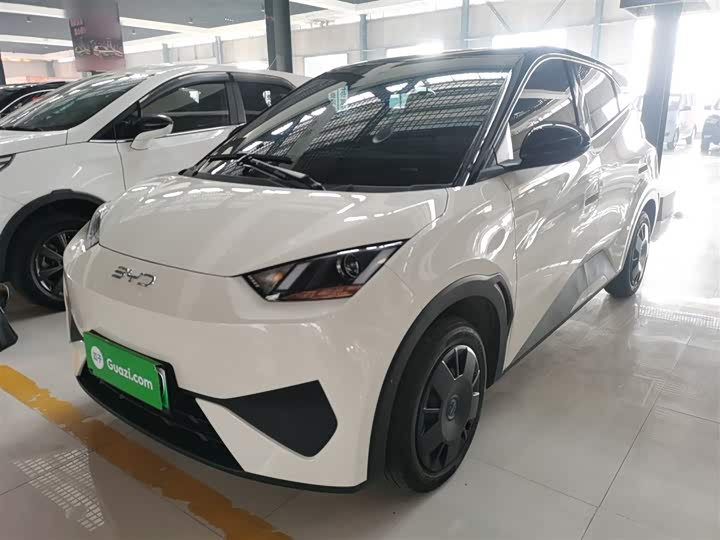 Фото 2 - BYD Seagull