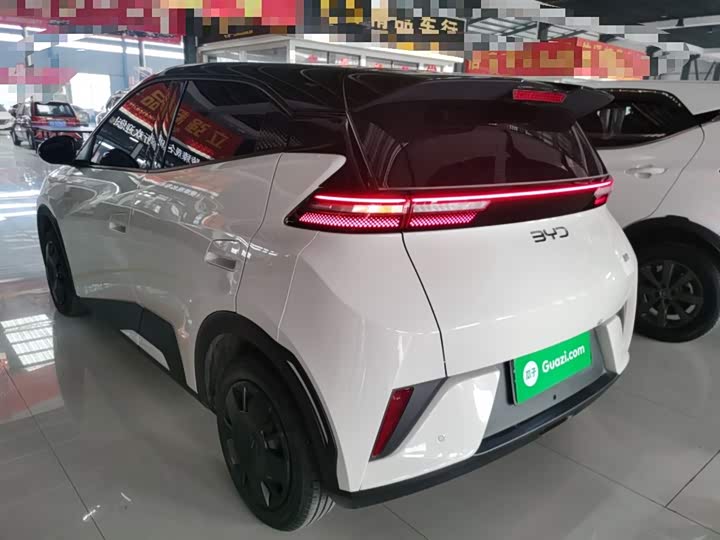 Фото 5 - BYD Seagull