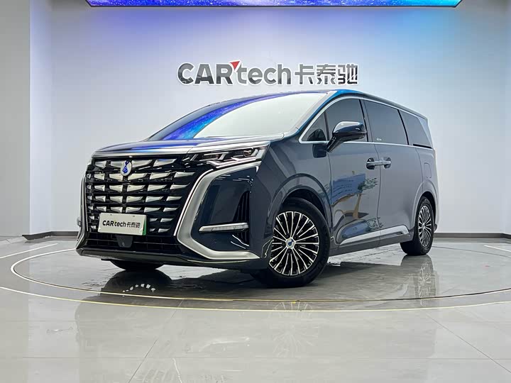 Фото 1 - Denza D9