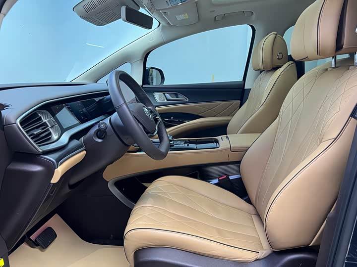 Фото 3 - Denza D9