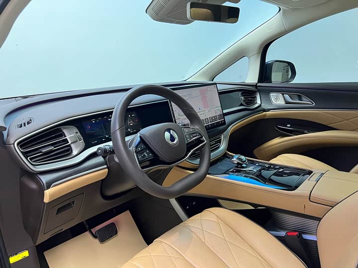 Фото 4 - Denza D9