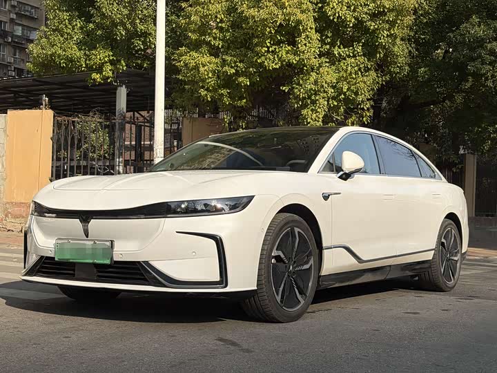 Фото 1 - Voyah Passion