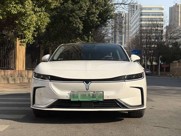 Фото 2 - Voyah Passion