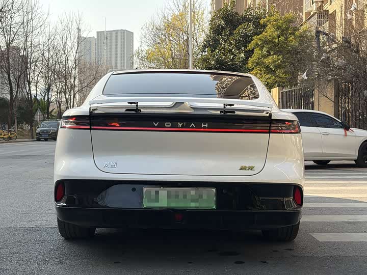 Фото 8 - Voyah Passion