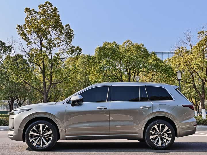 Фото 3 - LiXiang One