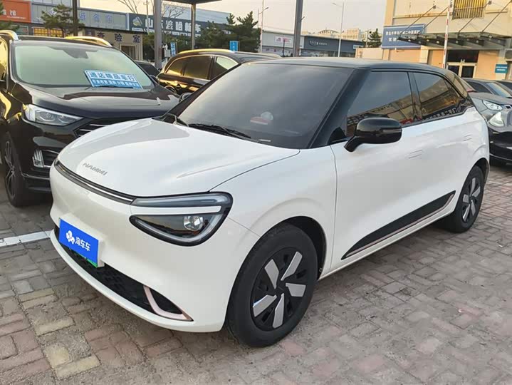 Фото 1 - Dongfeng Nammi 01