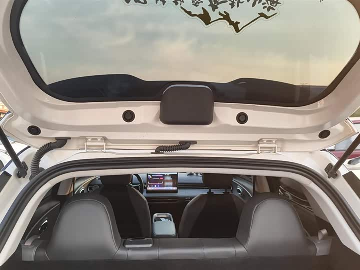 Фото 4 - Dongfeng Nammi 01