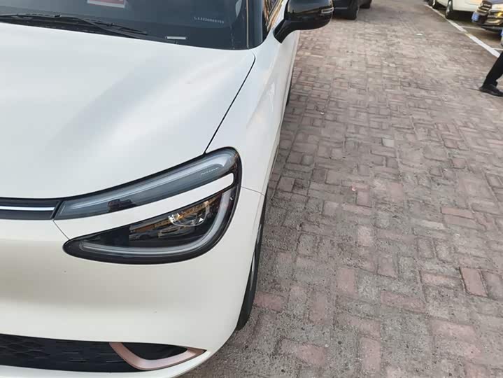 Фото 5 - Dongfeng Nammi 01