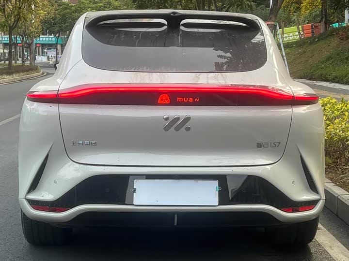 Фото 5 - IM motors LS7