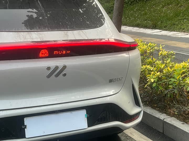 Фото 6 - IM motors LS7