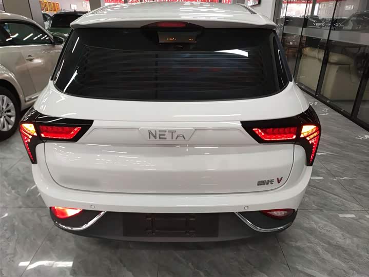 Фото 6 - Hozon V