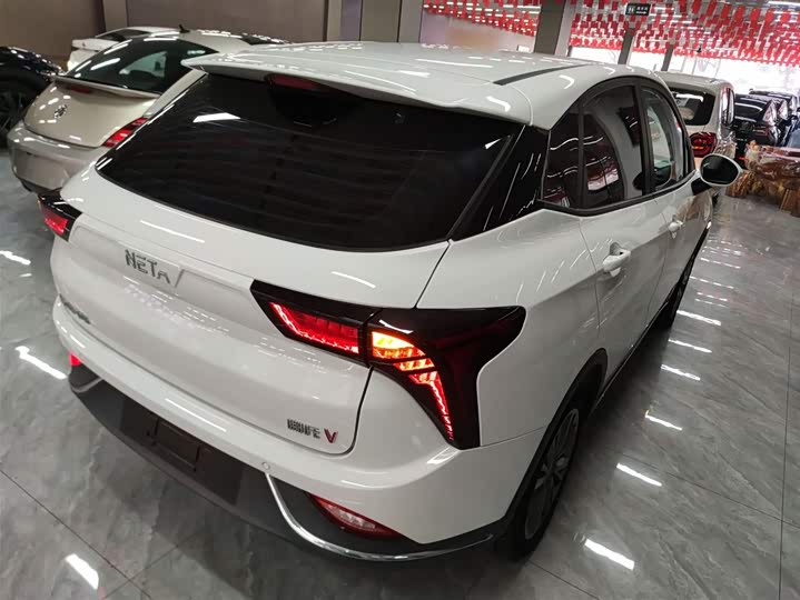 Фото 7 - Hozon V