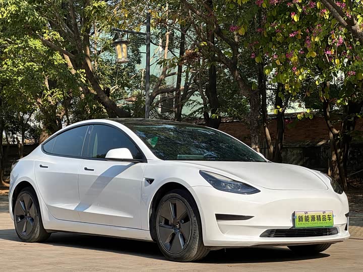Фото 3 - Tesla Model 3