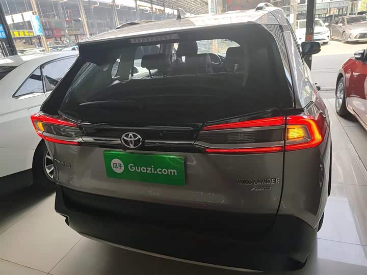 Фото 6 - Toyota Wildlander