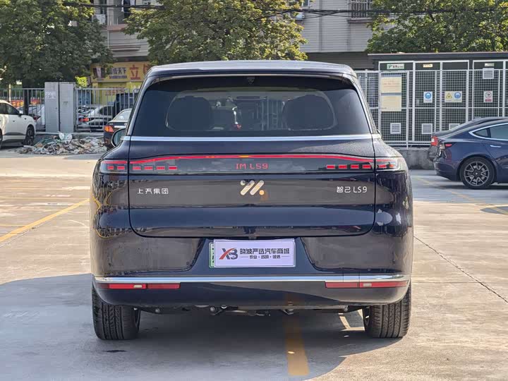 Фото 5 - IM motors LS9