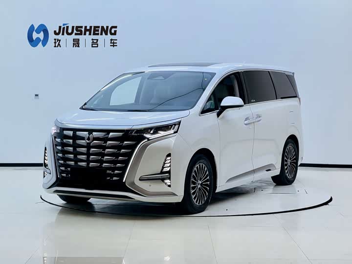 Фото 1 - Denza D9