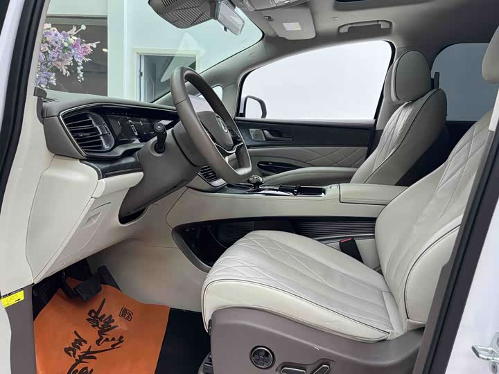 Фото 4 - Denza D9