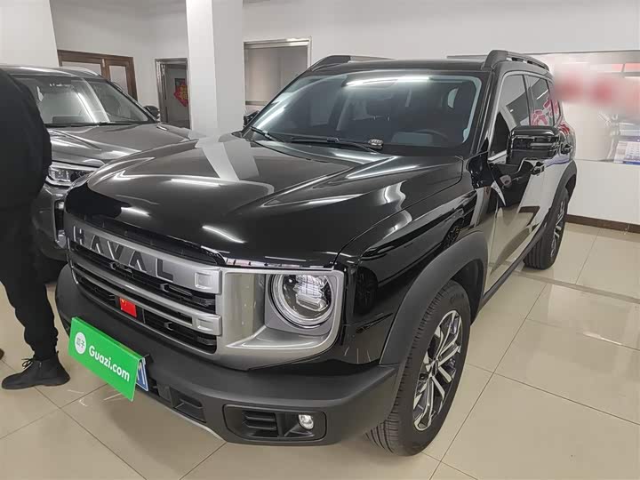 Фото 2 - Haval Dargo