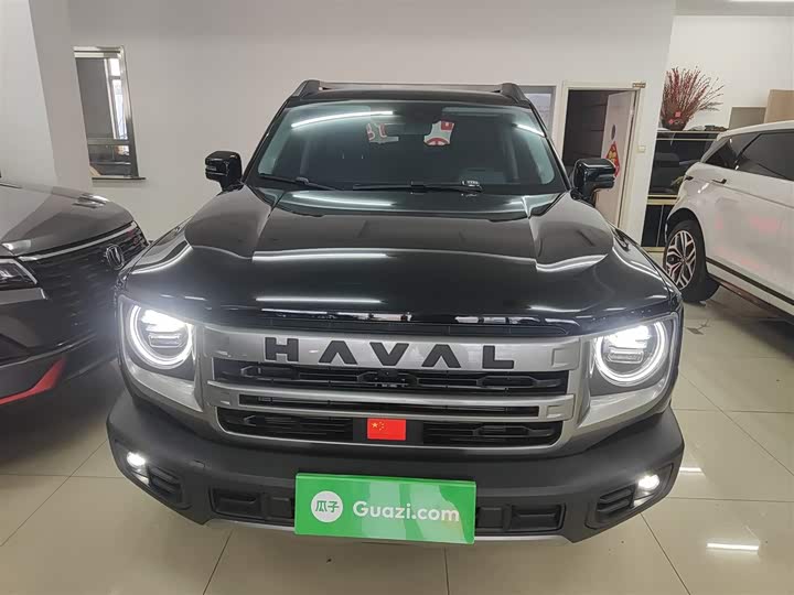 Фото 3 - Haval Dargo