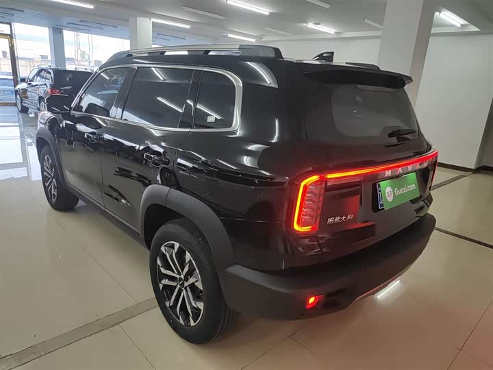 Фото 5 - Haval Dargo