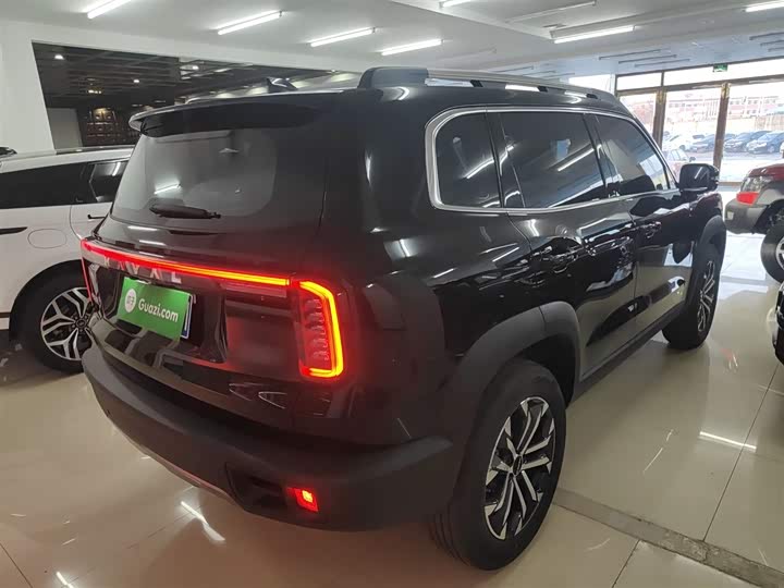 Фото 7 - Haval Dargo